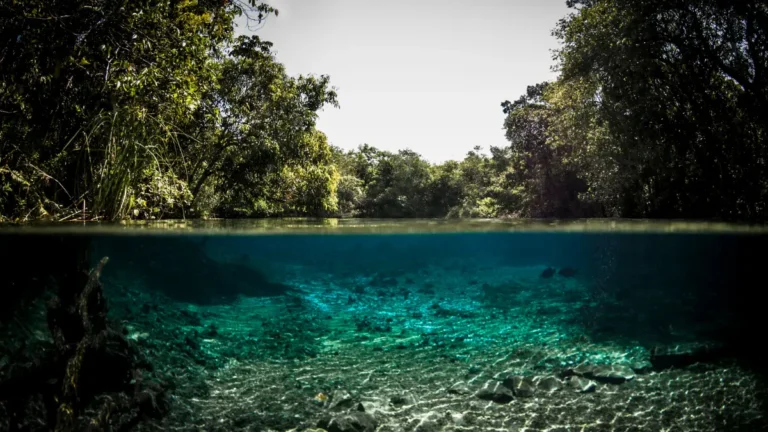 Lugares Turísticos em Mato Grosso